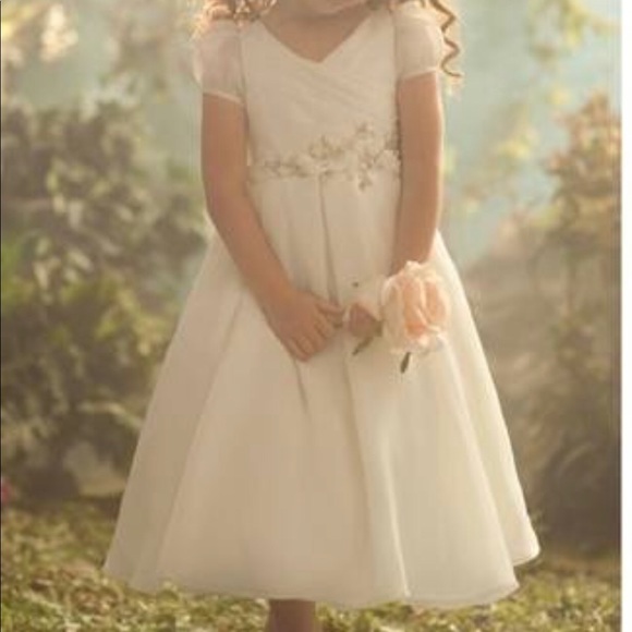 Alfredo Angelo Sleeping Beauty Flower Girl Dress - Picture 4 of 4